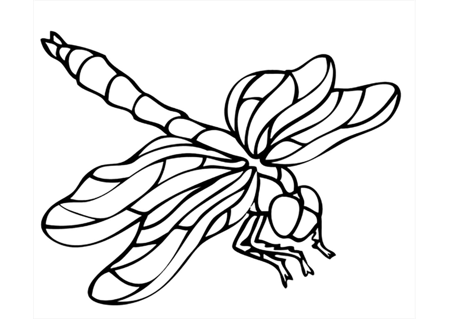 Insectenafbeelding afdrukken