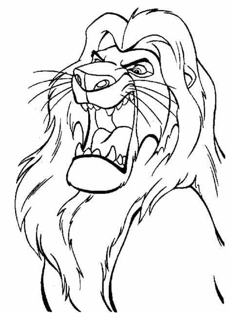 Lion King-overzicht