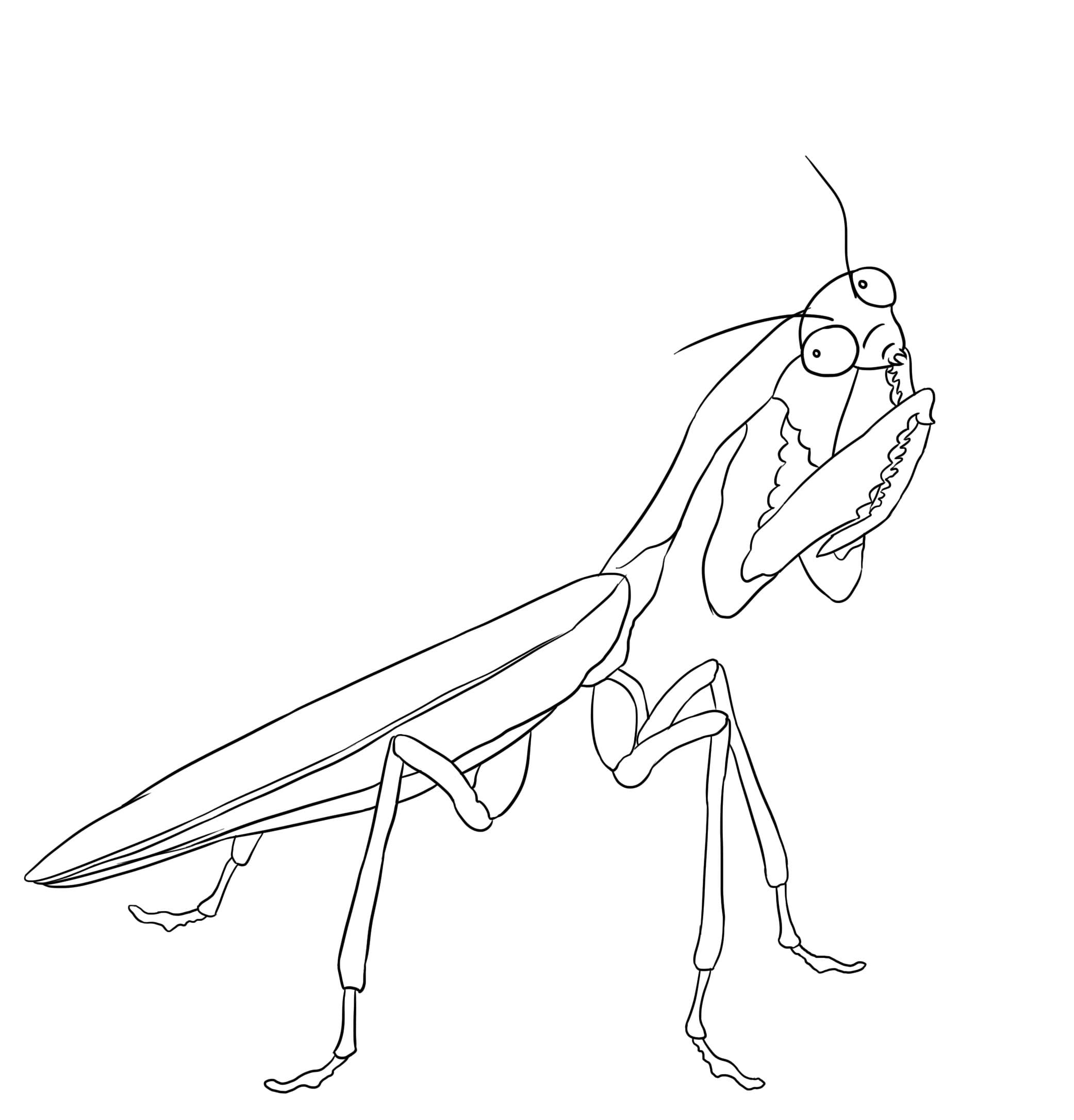 Mantis-afbeelding afdrukken