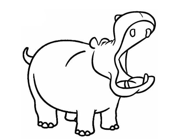 Nijlpaard Afbeelding