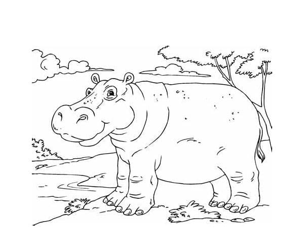 Nijlpaard gratis afdrukken