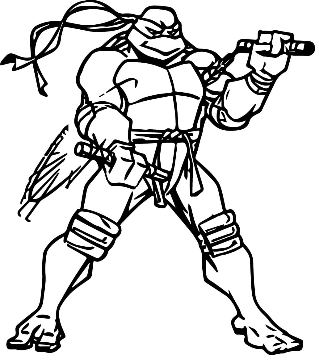 Ninja Turtle-afbeelding