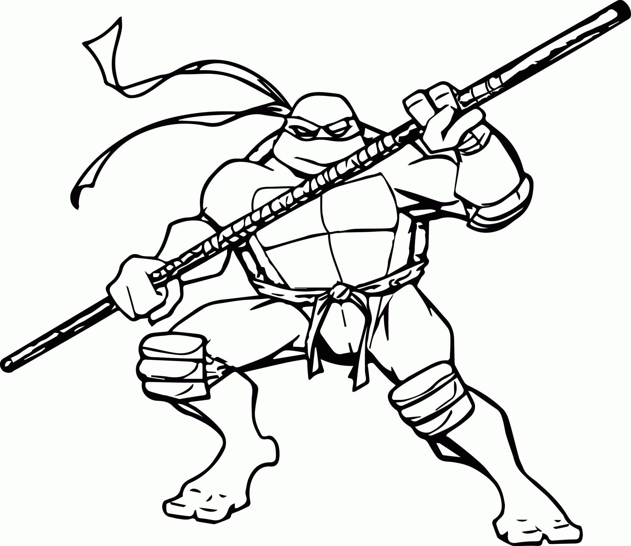Ninja Turtle vechten afbeelding