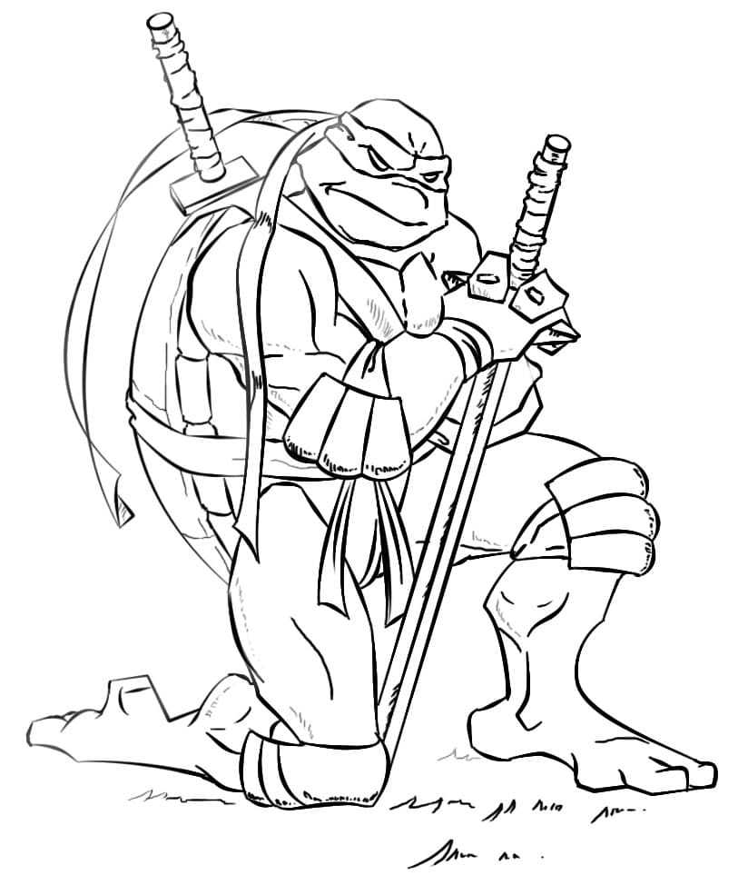Serieuze Ninja Turtle