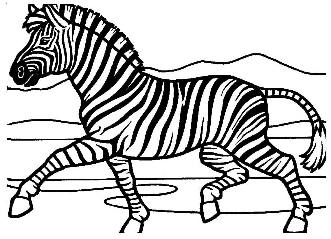 Zebra-JPG