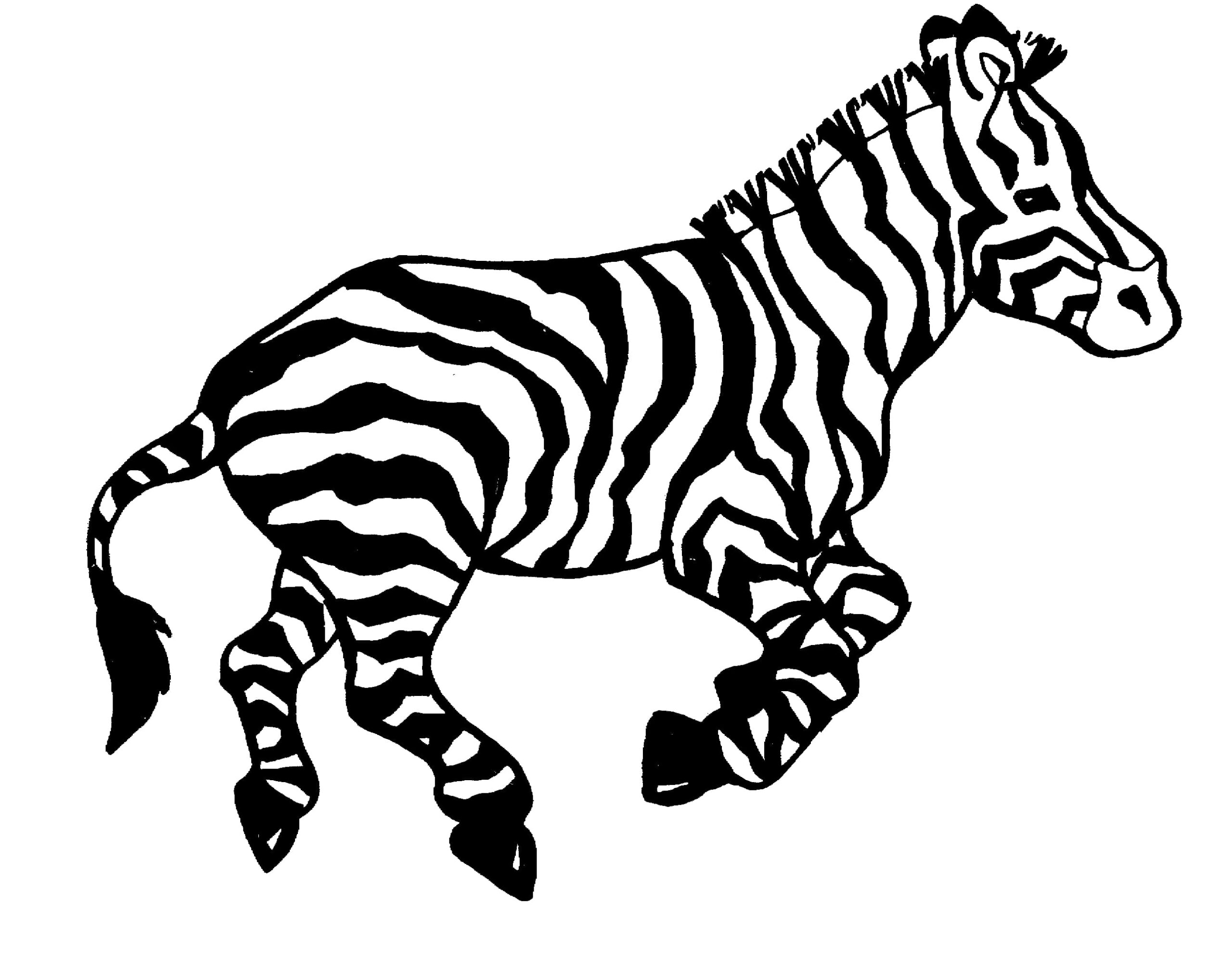Zebra-omtrek afdrukken