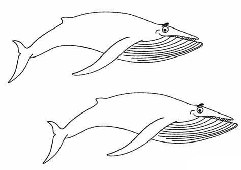 Afdrukbare afbeelding van walvissen