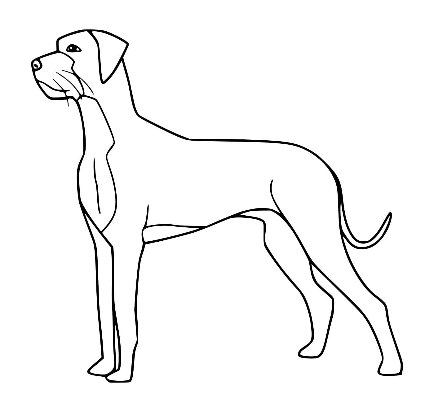 Eenvoudige Hond Kleurplaat Kinderen Kleurplaat