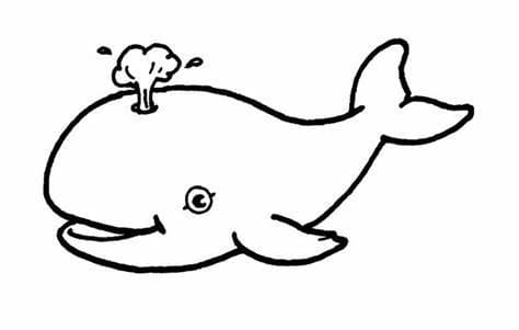 Gratis afbeelding van walvissen