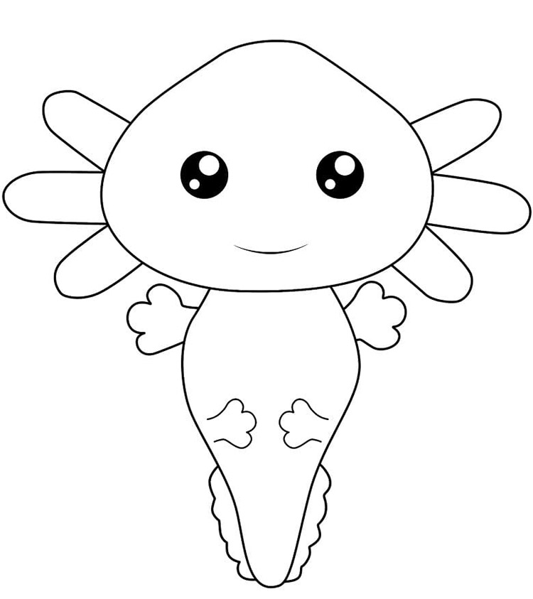 Axolotl 2