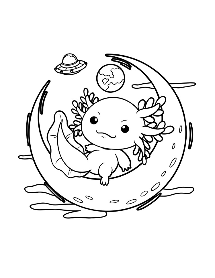 Axolotl 3
