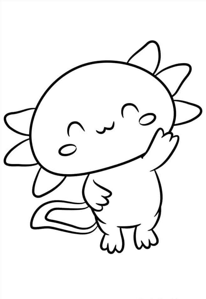 Axolotl 4