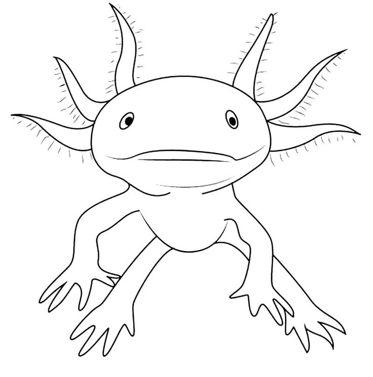 Axolotl Afdrukbare