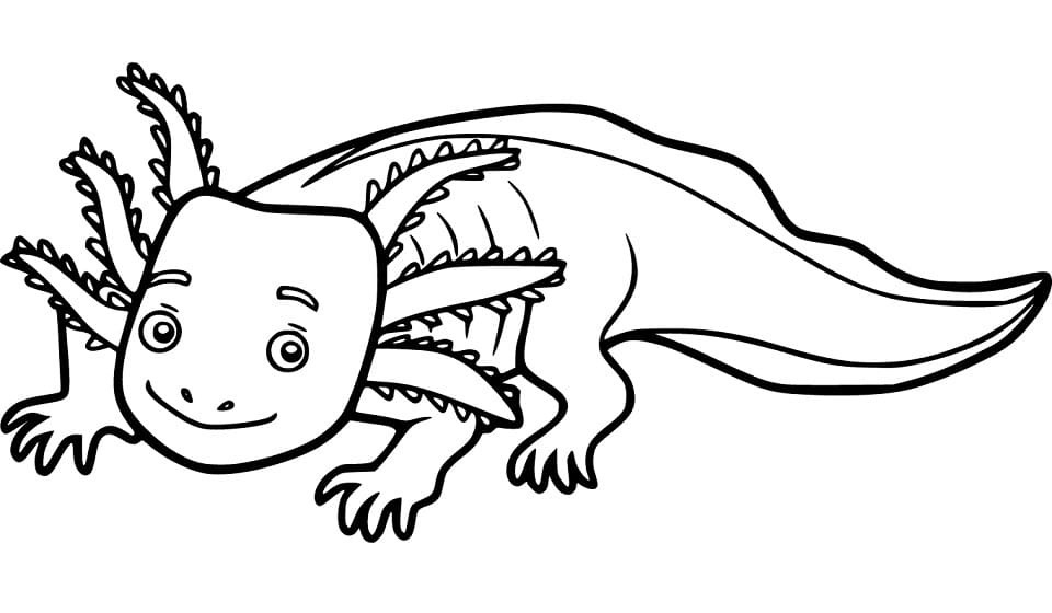 Vrolijke Axolotl