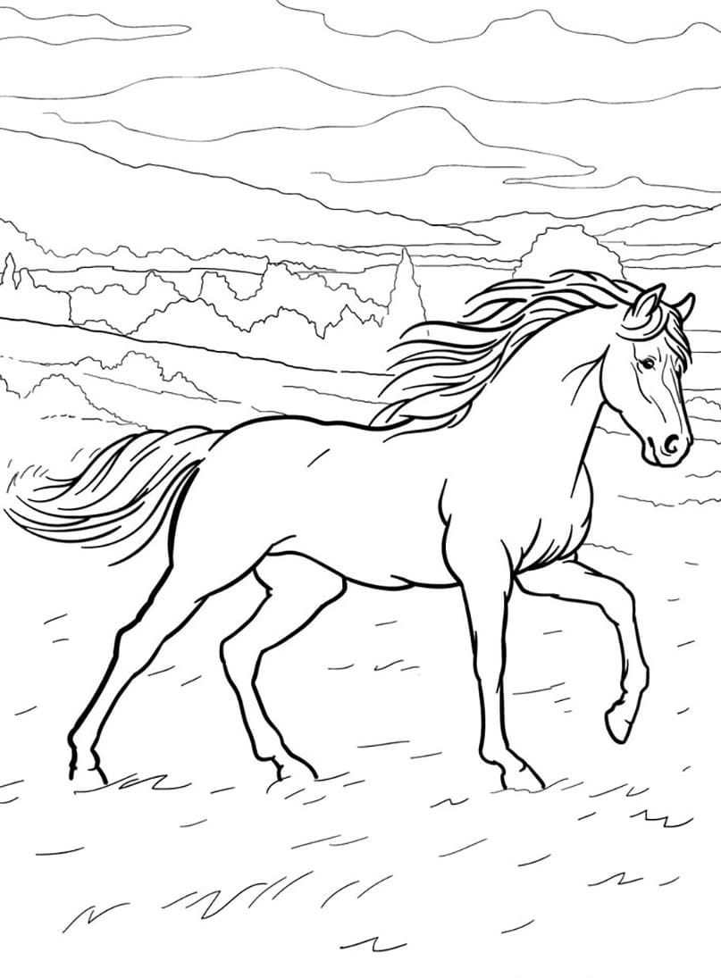 Paard 25