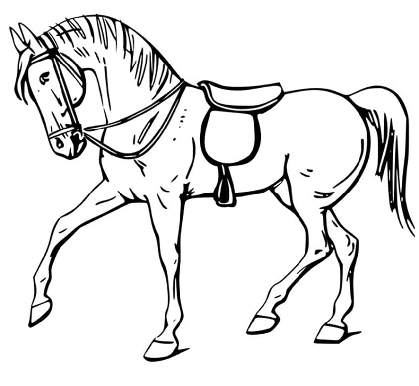 Paard 41