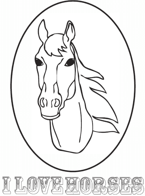 Paard 6
