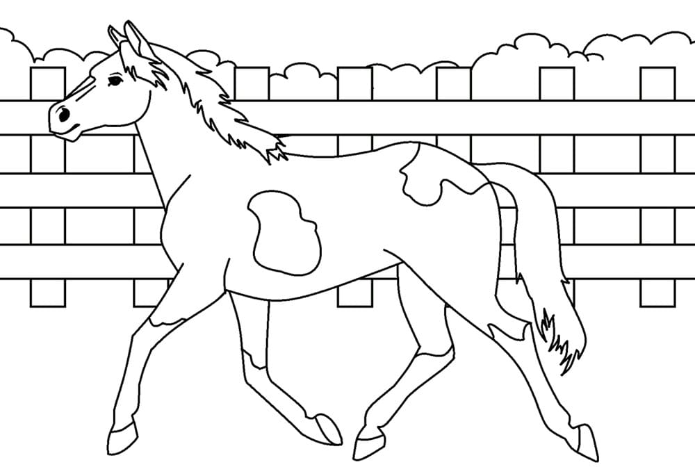 Paard 9