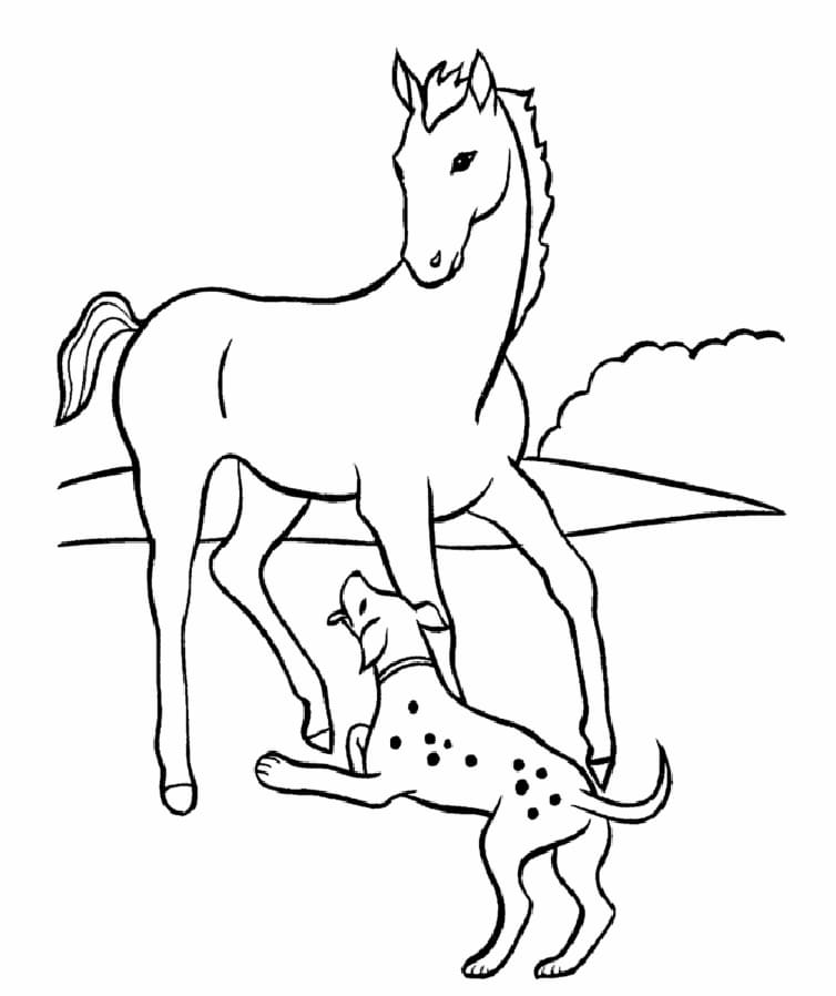Paard en hond