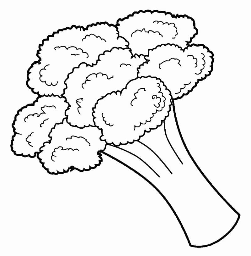 Afdrukbare Broccoli