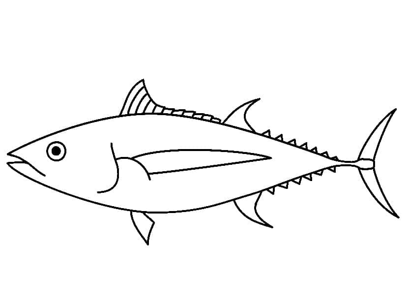 Afdrukbare tonijn