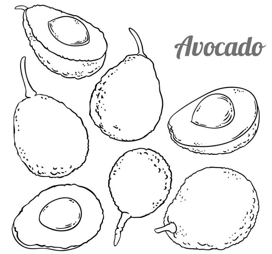 Avocado afbeelding 2