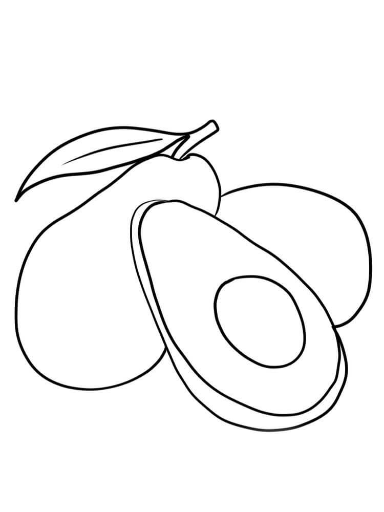 Avocado afbeelding 3