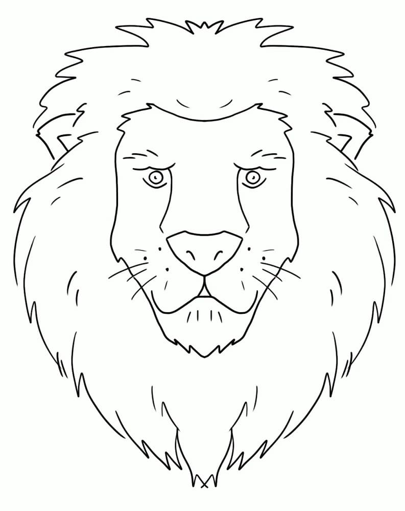Basis leeuwengezicht
