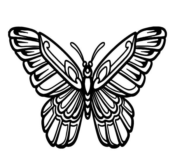 betoverende vlinder