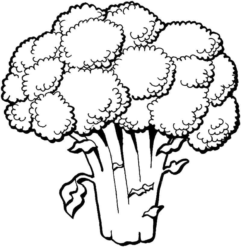 Broccoli afdrukken