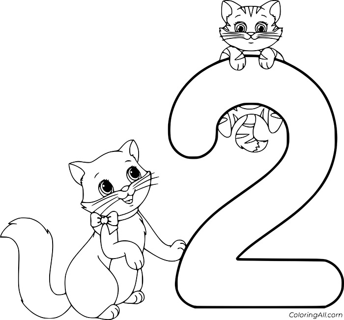 Cijfer 2 met Kat