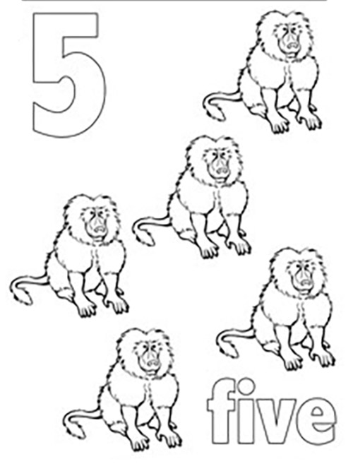 Nummer 5 met apen afbeelding 2