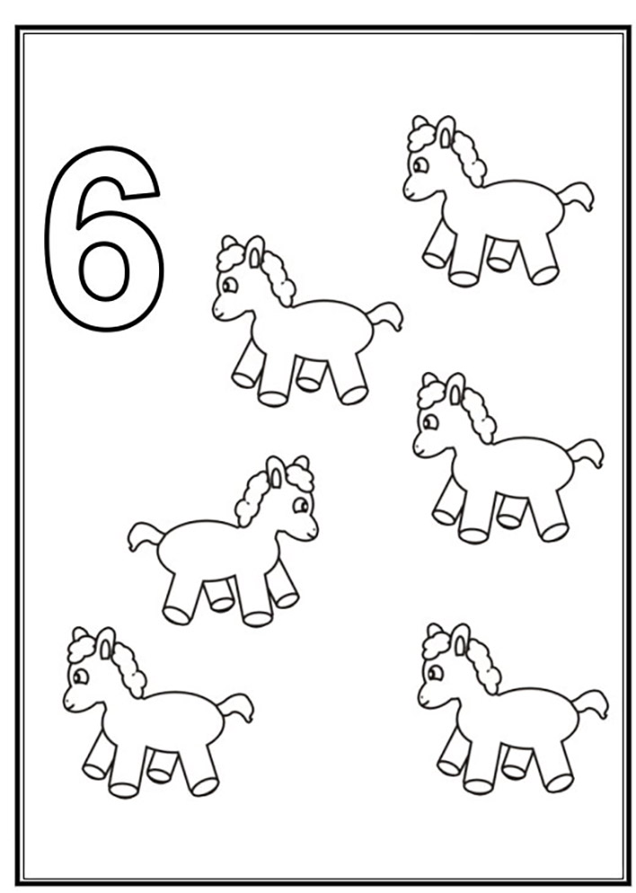 Nummer 6 met paarden