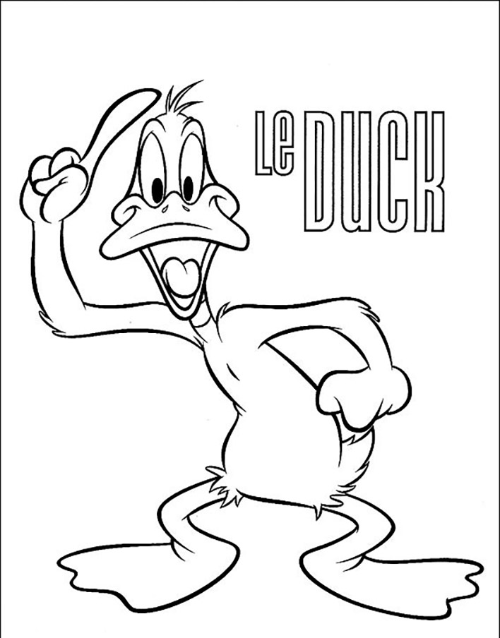 Donald duck canard