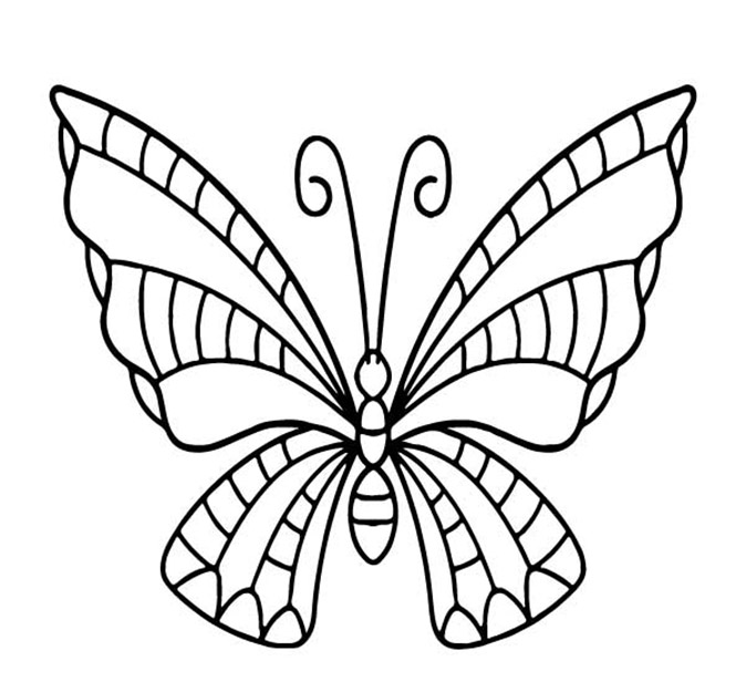 eenvoudige esthetische vlinder