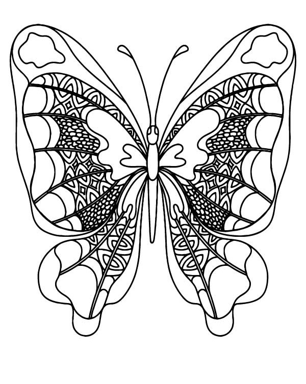 elegante vlinder