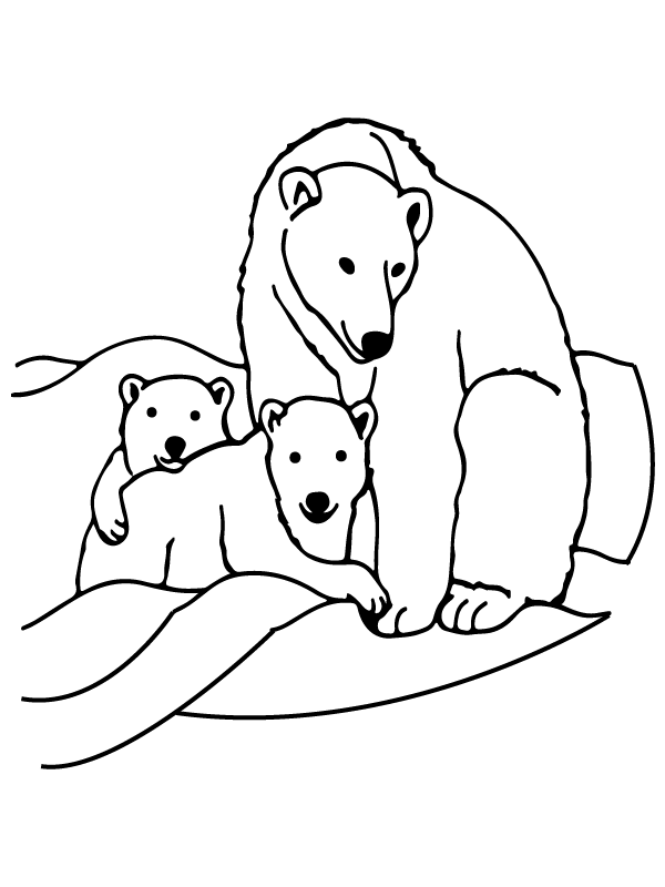 Familie beer arctische dieren