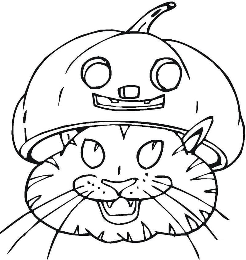 Halloween-kat met pompoenhoed