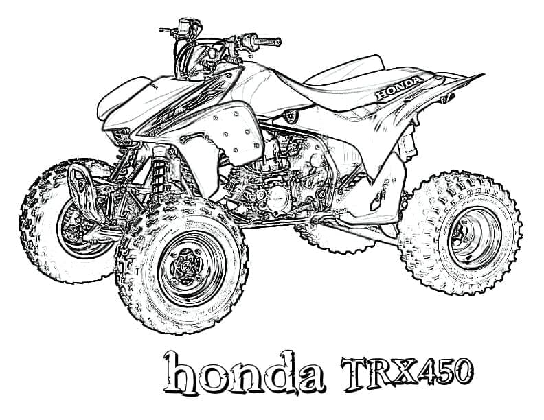 Honda TRX450 ATV-quad