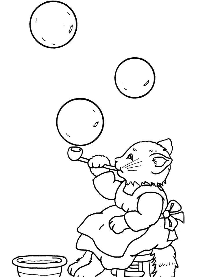 Kat en bubbels