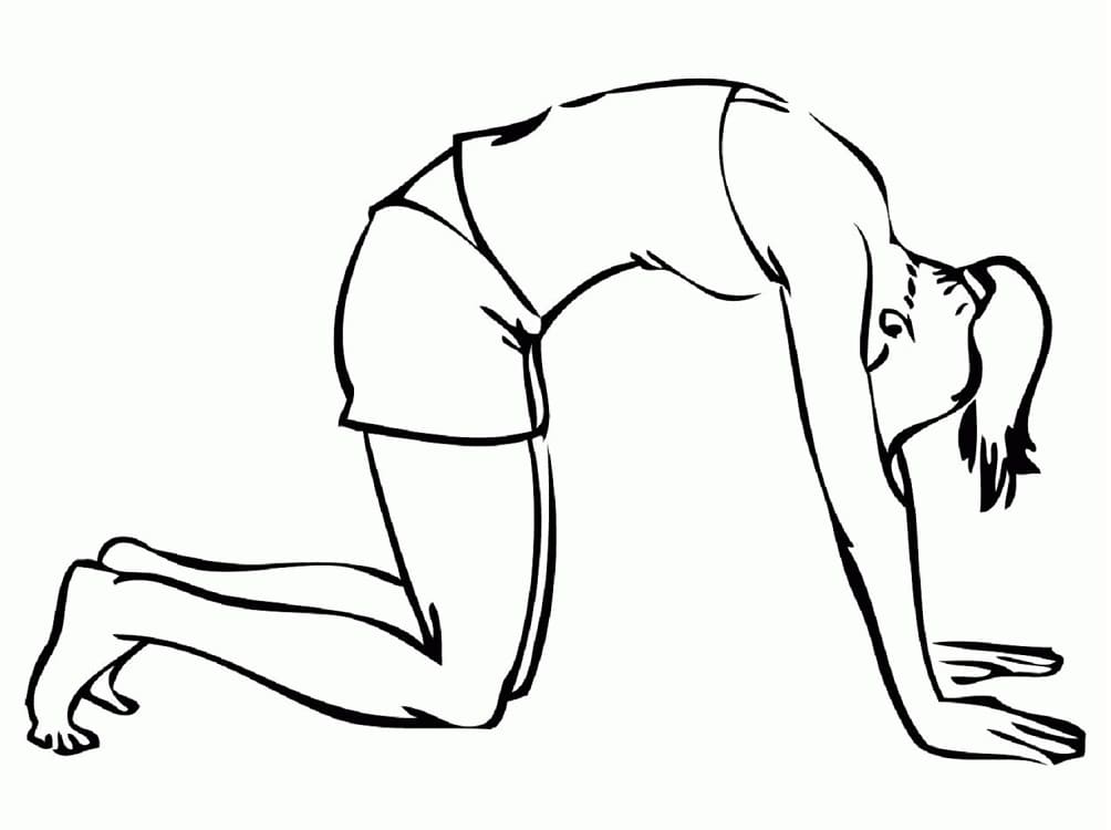 Kat Pose Yoga
