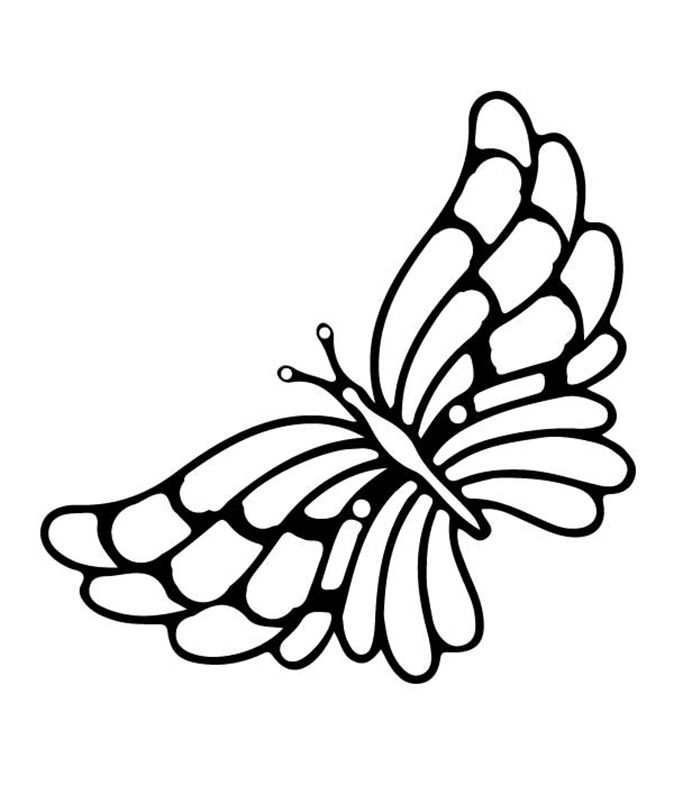 leuke en eenvoudige vlinder