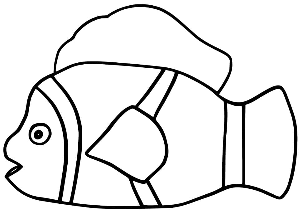 Makkelijke anemoonvis
