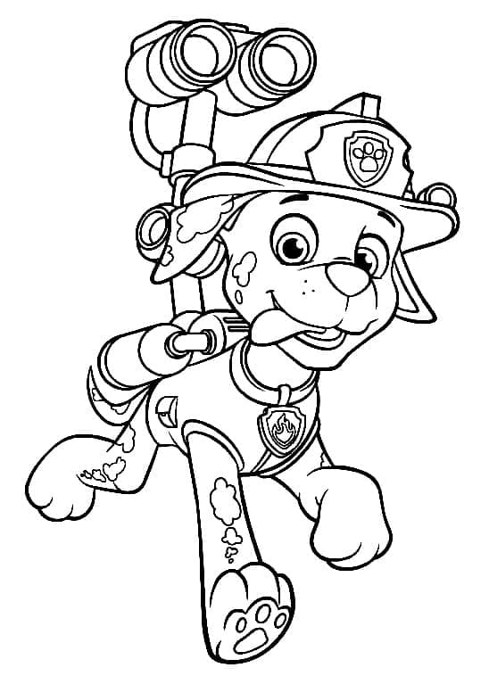 Marcus in paw patrol
