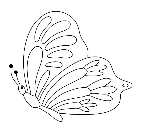 mooie vliegende vlinder