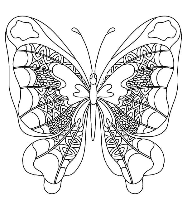 mooie vlinder 8
