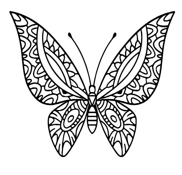 prachtige vlinder 2