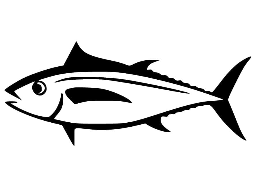 Tonggol tonijn