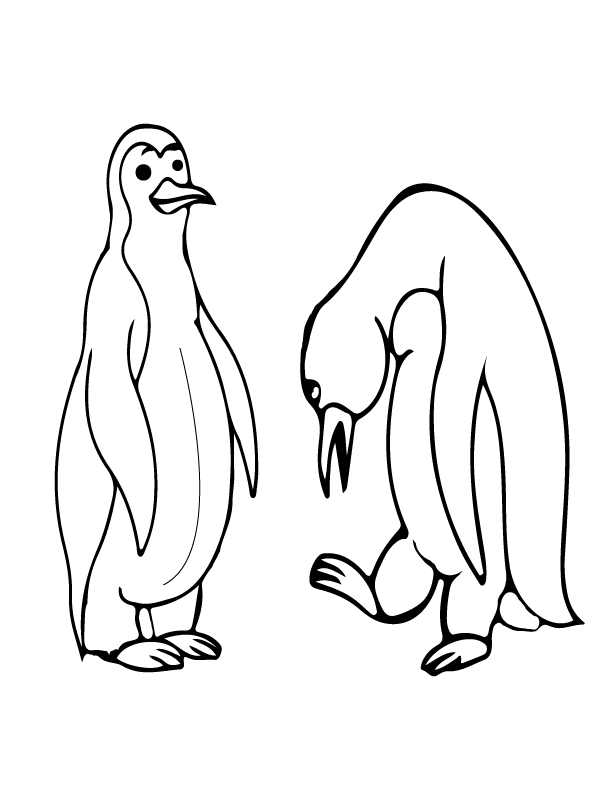 Twee pinguïns arctische dieren