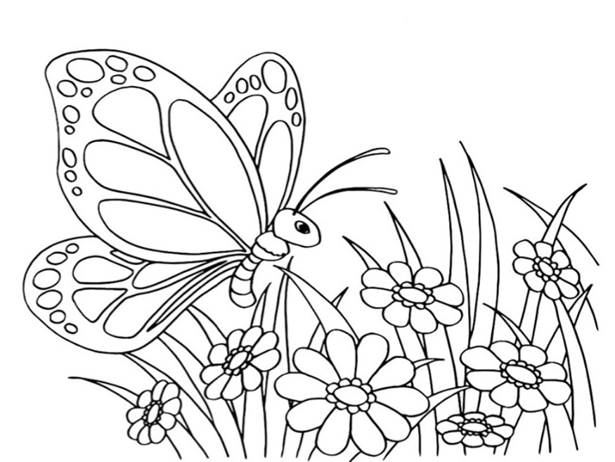 vlinder met bloemen 2 kleurplaat